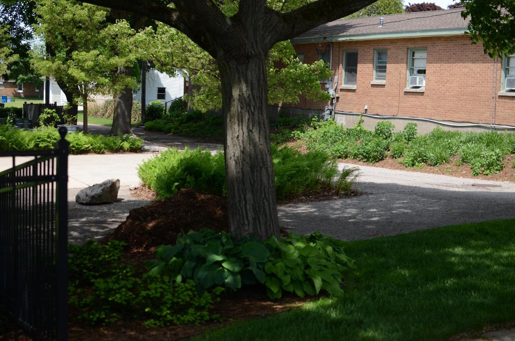 Ludington Blue Spruce Inn Екстериор снимка